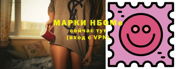 гашик Краснослободск