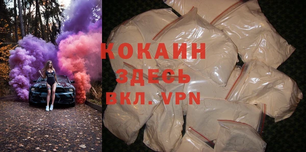 гашик Краснослободск