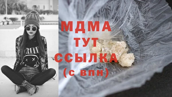 гашик Краснослободск