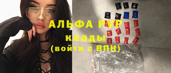 гашик Краснослободск