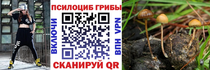Купить закладки  Белинский  Галлюциногенные грибы мицелий 